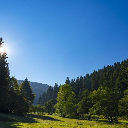 The Conscious Farmer Bed And Breakfast Sauerland Willingen (Upland) Exterior foto