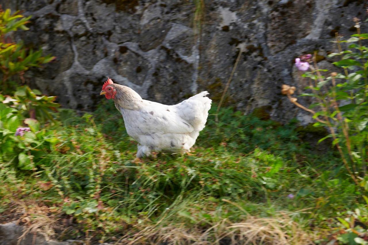 The Conscious Farmer Bed And Breakfast Sauerland Willingen (Upland) Exterior foto