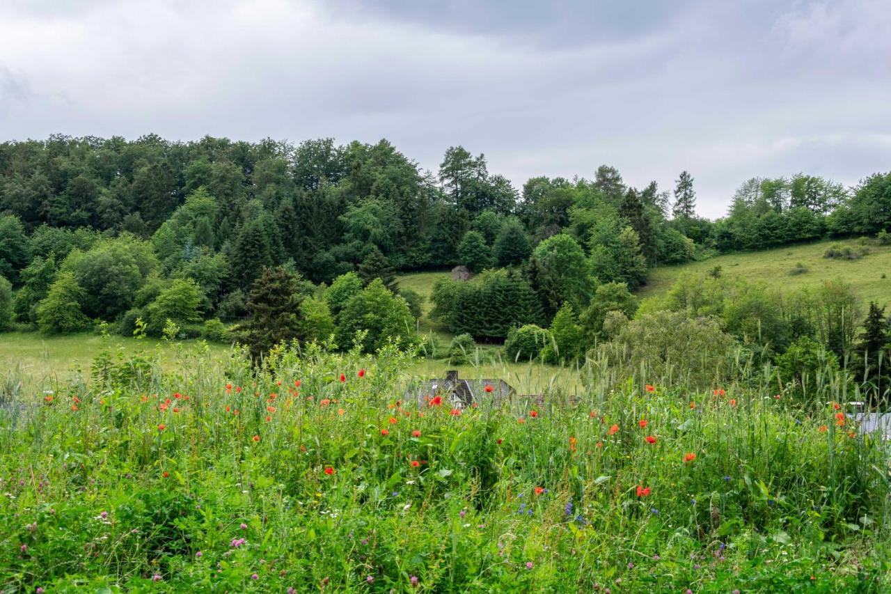 The Conscious Farmer Bed And Breakfast Sauerland Willingen (Upland) Exterior foto