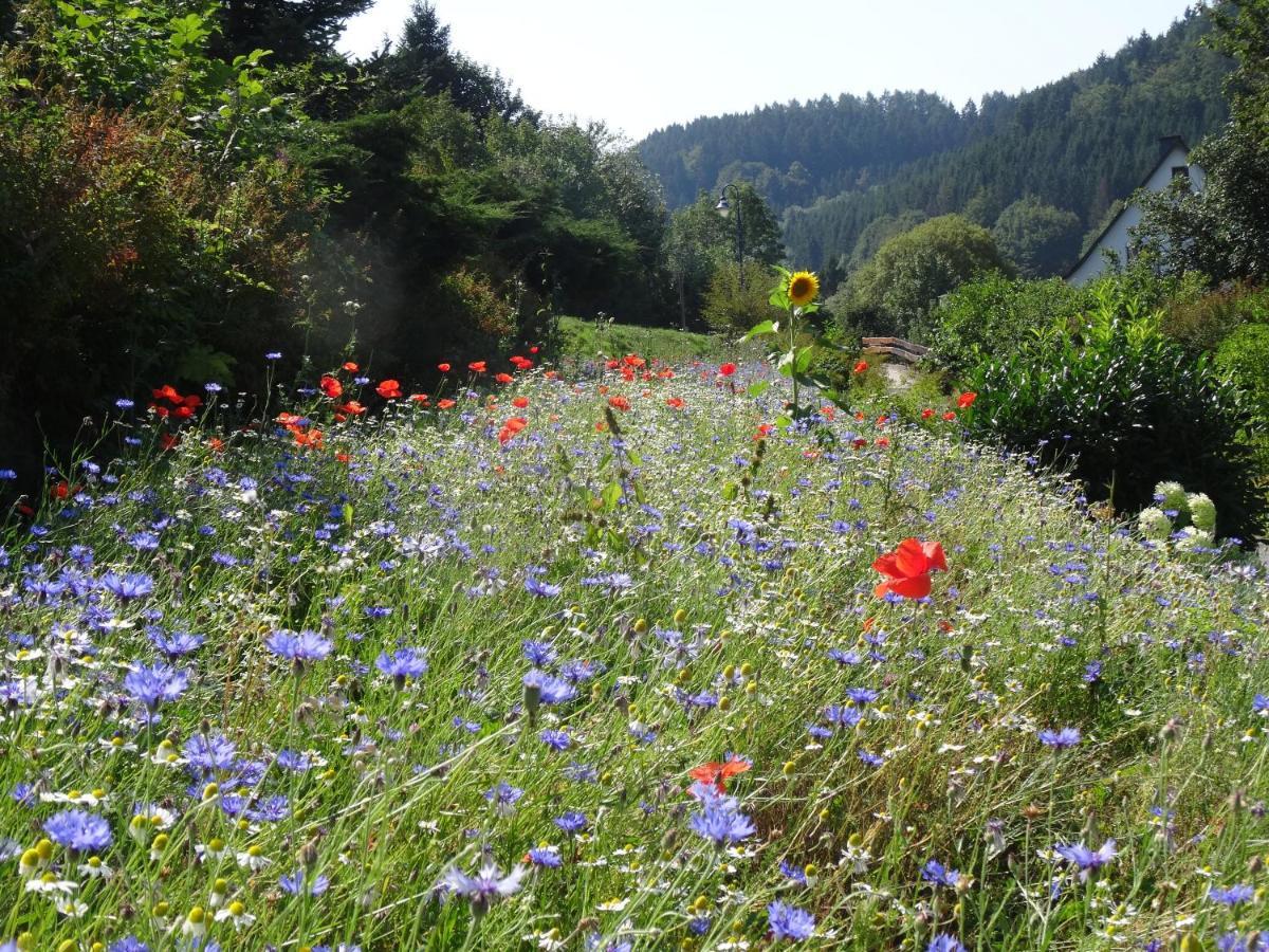 The Conscious Farmer Bed And Breakfast Sauerland Willingen (Upland) Exterior foto