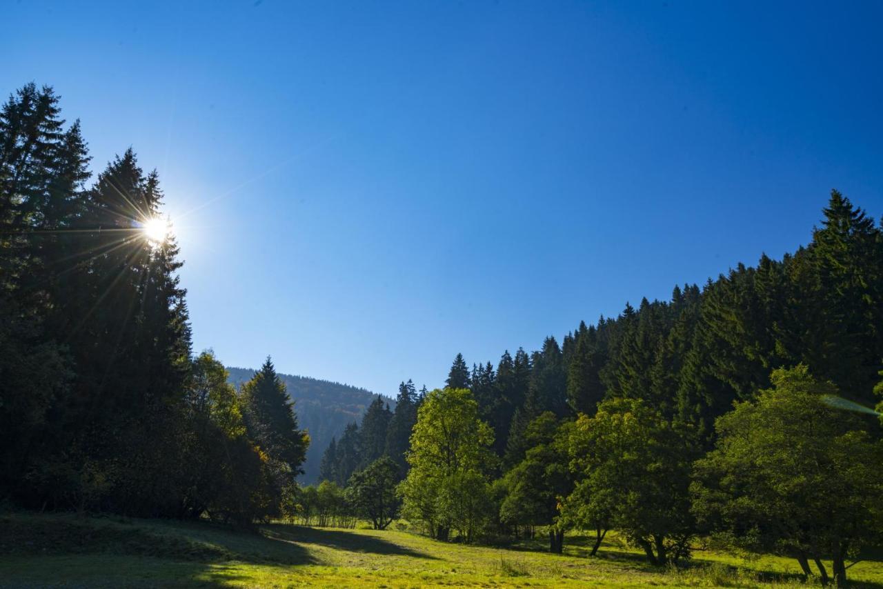 The Conscious Farmer Bed And Breakfast Sauerland Willingen (Upland) Exterior foto