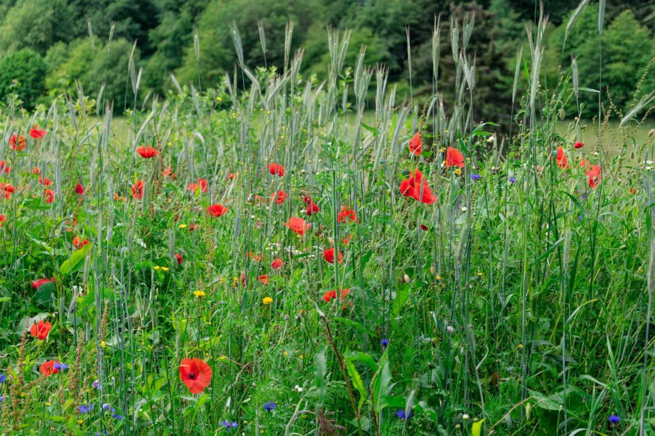The Conscious Farmer Bed And Breakfast Sauerland Willingen (Upland) Exterior foto